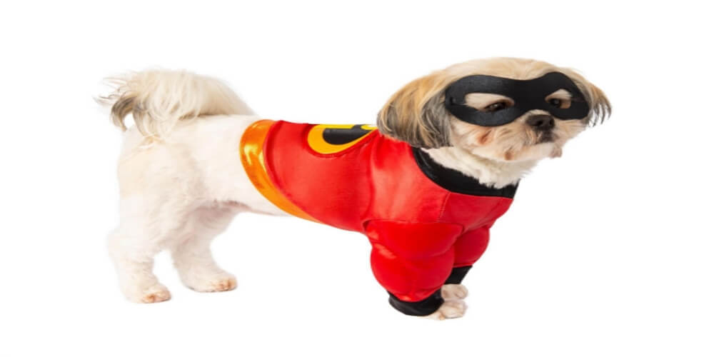 Expert’s Guide to Finding Personalized Pet Costumes